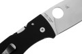 Spyderco Bodacious