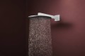Hansgrohe Raindance Alive S 300 24540000