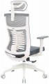 OfficePro Balance OC550