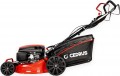 Cedrus KS48S