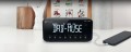 Muse M-196 DBT