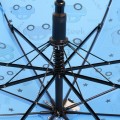 Art Rain 1419