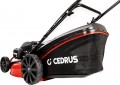Cedrus KS51S-H