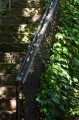 Panasonic 100-500mm f/5.0-7.1 OIS