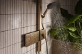 Hansgrohe Raindance Alive S 300 24595000