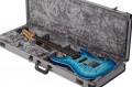 Schecter California Classic
