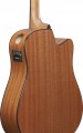 Ibanez AAD51LCE
