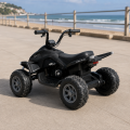 Bambi M6242EL