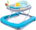 4BABY Walkn Push