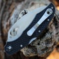 Spyderco Byrd Cara Cara 2 Wharncliffe