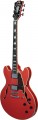 DAngelico Premier DC