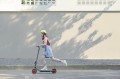 Ninebot eKickScooter Zing C15E