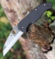 Spyderco Canis C248CFP