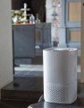 Lanaform Air Purifier