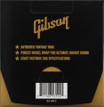 Gibson SEG-HVR10