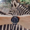 Casio Pro Trek PRG-601YB-2