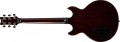 Ibanez AR520HFM