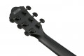Ibanez AEWC621