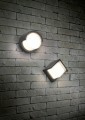 Trio Puno R27036132
