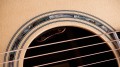 Taylor Legacy 810e