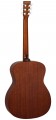 Tanglewood TC3