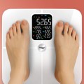 Webber Bonita SBS-1321B