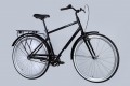 Dorozhnik Comfort Male 28 2025