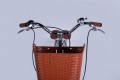Dorozhnik Coral Vbr 2025