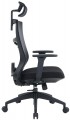 OfficePro Balance OC550