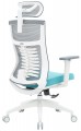 OfficePro Balance OC550