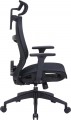 OfficePro Balance OC620