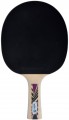 Donic Legends 800 FSC Set
