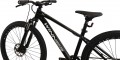 Winner Solid FX 26 2025