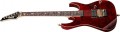 Ibanez RG8565R