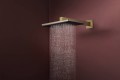 Hansgrohe Raindance Alive Q 210/340 EcoSmart 24531000