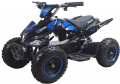 Forte ATV800NE