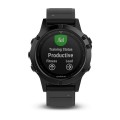 Garmin Fenix 5 Sapphire