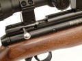 Crosman Benjamin Discovery