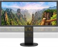 NEC EA295WMi