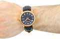 Armani AR11135