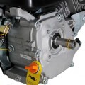 Weima W230F-S NEW