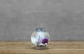 BiOrb Classic 15 LED
