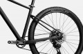 Cannondale Trail SL 3 2021