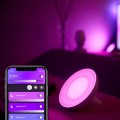 Philips Hue Bloom