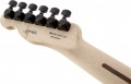 Fender Jim Root Telecaster