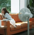Xiaomi SmartMi DC Inverter Floor Fan 3
