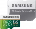 Samsung EVO Select microSDXC 256Gb