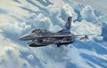 Revell Martin F-16D Tigermeet 2014 (1:72)