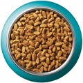 Purina ONE Sterilized Beef 2.8 kg