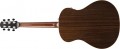 Ibanez AAM780E